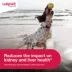 Galliprant (grapiprant) Tablets for Dogs - 20mg - 1, 30, or 90 Tablets image thumbnail 5