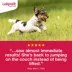 Galliprant (grapiprant) Tablets for Dogs - 20mg - 1, 30, or 90 Tablets image thumbnail 6