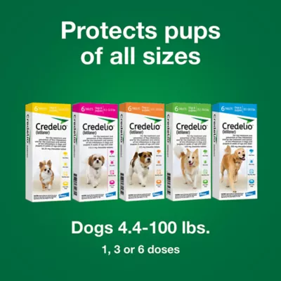 Product Credelio Flea & Tick Chewable Tablets for Dogs & Puppies 25.1-50 lbs (450 mg) Green