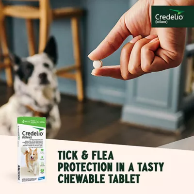 Product Credelio Flea & Tick Chewable Tablets for Dogs & Puppies 25.1-50 lbs (450 mg) Green
