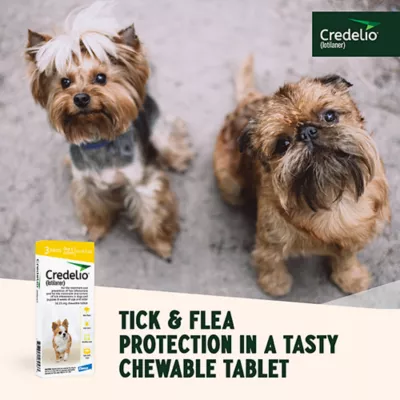 Product Credelio Flea & Tick Chewable Tablets for Dogs & Puppies 4.4-6 lbs (56.25 mg) Yellow