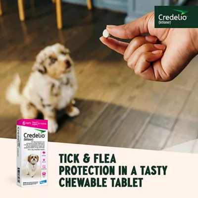 Product Credelio Flea & Tick Chewable Tablets for Dogs & Puppies 6.1-12 lbs (112.50 mg) Pink