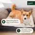 Credelio (lotilaner) Tick & Flea + Flea Infestation Protection Dogs 12.1-25.0 lbs - 1, 3, 6 CT image thumbnail 7