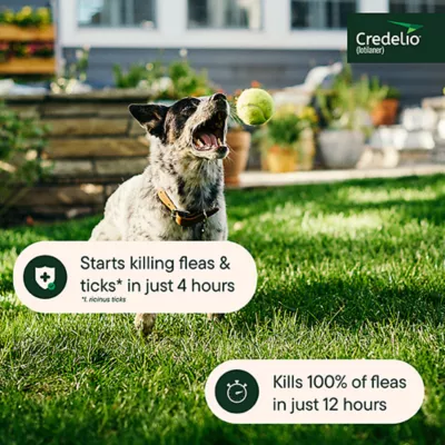 Product Credelio Flea & Tick Chewable Tablets for Dogs & Puppies 25.1-50 lbs (450 mg) Green
