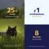 Revolution Plus (selamectin & sarolaner topical) for Cats, 5.6-11 lbs (Orange), 3 or 6 Month Supply image thumbnail 4