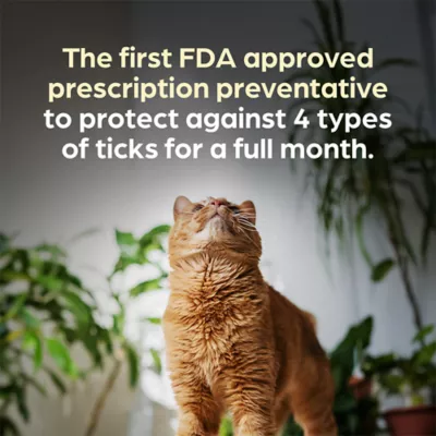 Revolution Plus (selamectin & sarolaner topical) for Cats, 5.6-11 lbs (Orange), 3 or 6 Month Supply - Image 5