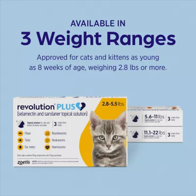 Revolution Plus (selamectin & sarolaner topical) for Cats, 5.6-11 lbs (Orange), 3 or 6 Month Supply - Image 7
