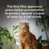 Revolution Plus (selamectin & sarolaner topical) for Cats, 11.1-22 lbs (Green), 3 or 6 Month Supply image thumbnail 5