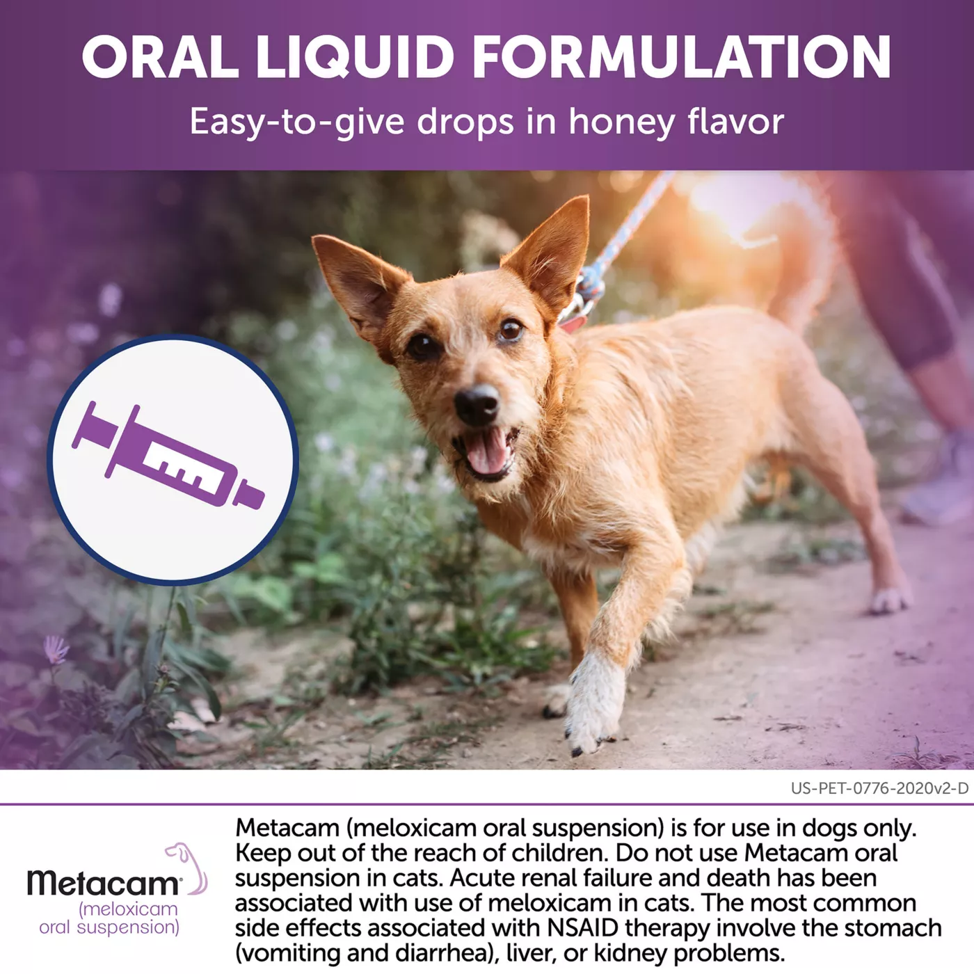 Metacam for fashion arthritis in dogs