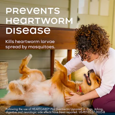 Product Heartgard Plus Chewables For Dogs 1-25 lbs Blue