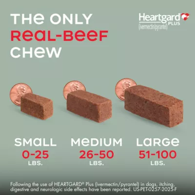 Heartgard Plus Chewables For Dogs 1-25 lbs Blue - Image 7