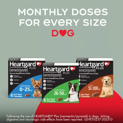 Heartgard Plus Chewables For Dogs 1-25 lbs Blue - Image 8