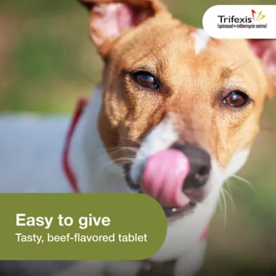 Trifexis Chewable Tablet for Dogs, 5-10 lbs (Magenta), 1 or 6 Month Supply - Image 8