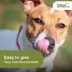 Trifexis Chewable Tablet for Dogs, 5-10 lbs (Magenta), 1 or 6 Month Supply image thumbnail 8