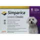 Product Simparica Chewable Tablets for Dogs 5.6-11 lbs Purple, 3 or 6 Month Supply