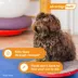 Advantage Multi Topical Solution for Dogs, 3-9 lbs (Green), 1 or 6 Month Supply image thumbnail 6