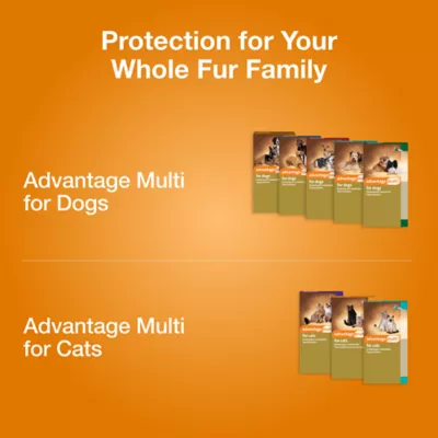Advantage Multi Topical Solution for Dogs, 3-9 lbs (Green), 1 or 6 Month Supply - Image 7