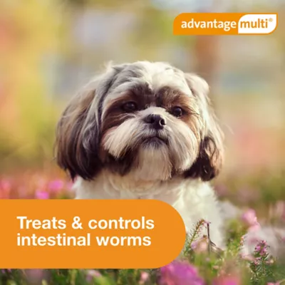 Advantage Multi Topical Solution for Dogs, 3-9 lbs (Green), 1 or 6 Month Supply - Image 8