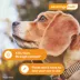 Advantage Multi Topical Solution for Dogs, 9.1-20 lbs (Teal), 1 or 6 Month Supply image thumbnail 6