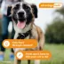 Advantage Multi Topical Solution for Dogs, 55.1-88 lbs (Blue), 1 or 6 Month Supply image thumbnail 6