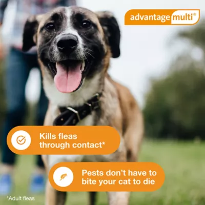 Advantage Multi Topical Solution for Dogs,  88.1-110 lbs (Brown), 1 or 6 Month Supply - Image 6