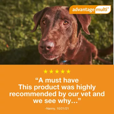 Advantage Multi Topical Solution for Dogs,  88.1-110 lbs (Brown), 1 or 6 Month Supply - Image 7