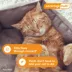 Advantage Multi Topical Solution for Cats, 5.1-9 lbs (Orange), 1 or 6 Month Supply image thumbnail 6