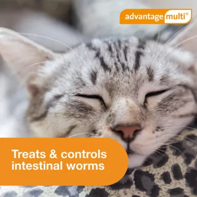 Advantage Multi Topical Solution for Cats, 9.1-18 lbs (Purple), 1 or 6 Month Supply - Image 8