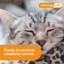 Advantage Multi Topical Solution for Cats, 9.1-18 lbs (Purple), 1 or 6 Month Supply image thumbnail 8