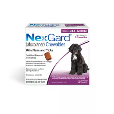 are flea pills dangerous for dogs