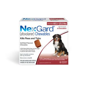 Allergy medicine shop for dogs petsmart