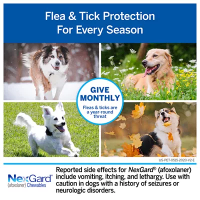 Petsmart nexgard chewables best sale