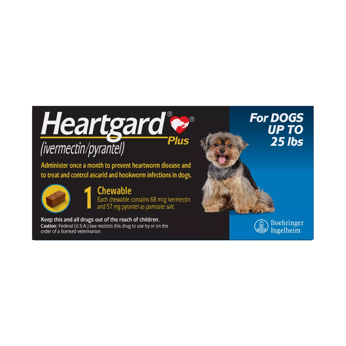 do older dogs need heartworm medicine