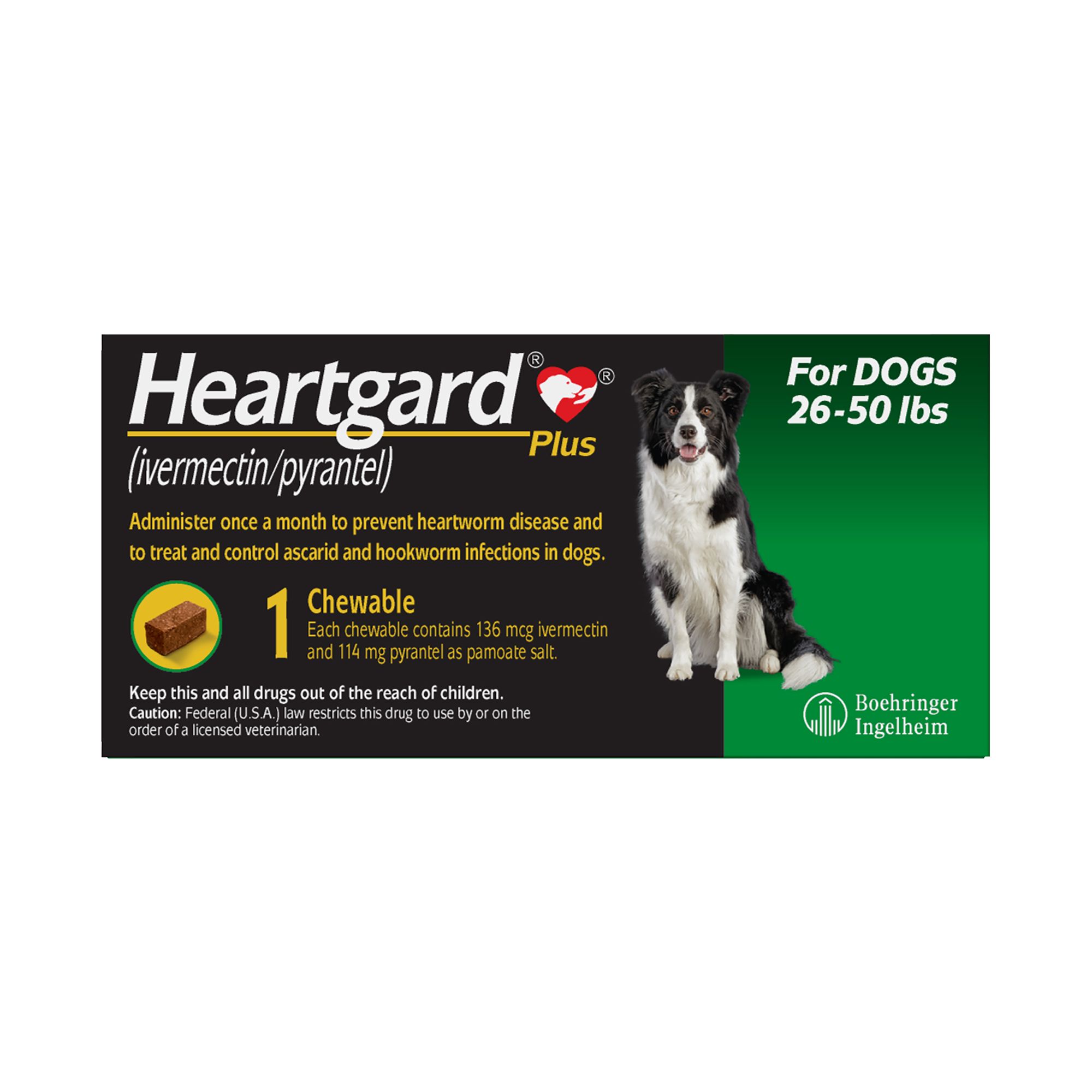 Dog Dewormers & Heartworm Medicine