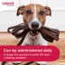 Galliprant (grapiprant) Tablets for Dogs - 20mg - 1, 30, or 90 Tablets image thumbnail 4