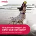 Galliprant (grapiprant) Tablets for Dogs - 20mg - 1, 30, or 90 Tablets image thumbnail 5