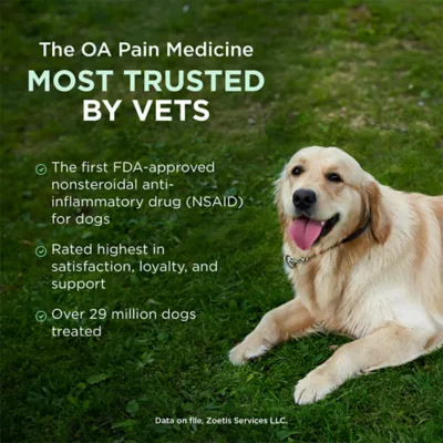Rimadyl (carprofen) Chewable Tablet for Dogs - 25mg, 75mg, 100mg - 1, 30, 60, or 180 Tablets - Image 3