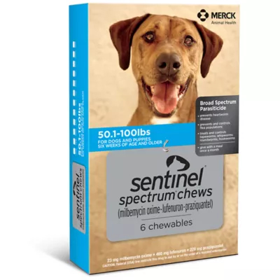 Product Sentinel Spectrum Chews for Dogs 50.1-100 lbs Blue - 6 Month or 12 Month Supply