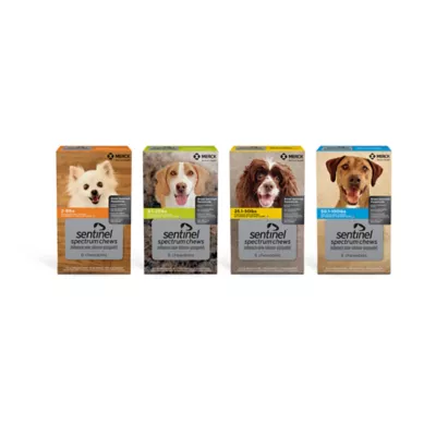 Product Sentinel Spectrum Chews for Dogs 50.1-100 lbs Blue - 6 Month or 12 Month Supply