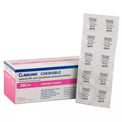Product Clavamox - 62.5 mg, 125 mg, 250 mg, 375 mg - Single Chewable Tablet