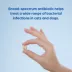 Clavamox (Amoxicillin/Clavulanate Potassium) Chewable 62.5mg, 125mg, 250mg, 375mg - Single Tablet image thumbnail 2