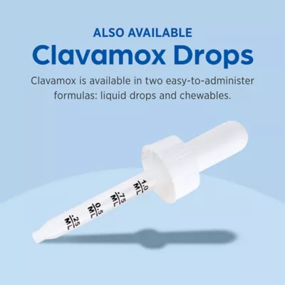 Clavamox (Amoxicillin/Clavulanate Potassium) Chewable 62.5mg, 125mg, 250mg, 375mg - Single Tablet - Image 6
