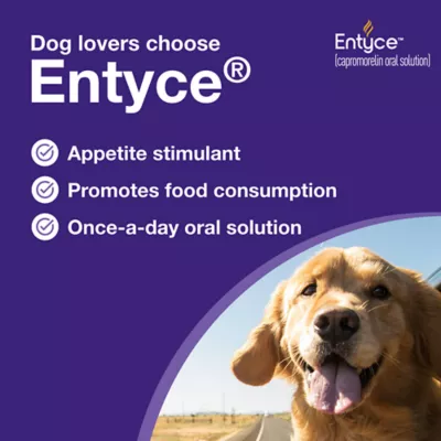Entyce Appetite Stimulant Oral Solution for Dogs - 30 mg/ml - 10, 15, 30 ml - Image 4