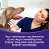 Entyce Appetite Stimulant Oral Solution for Dogs - 30 mg/ml - 10, 15, 30 ml image thumbnail 5