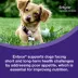 Entyce Appetite Stimulant Oral Solution for Dogs | 30 mg/ml | 10, 15, 30 ml image thumbnail 7