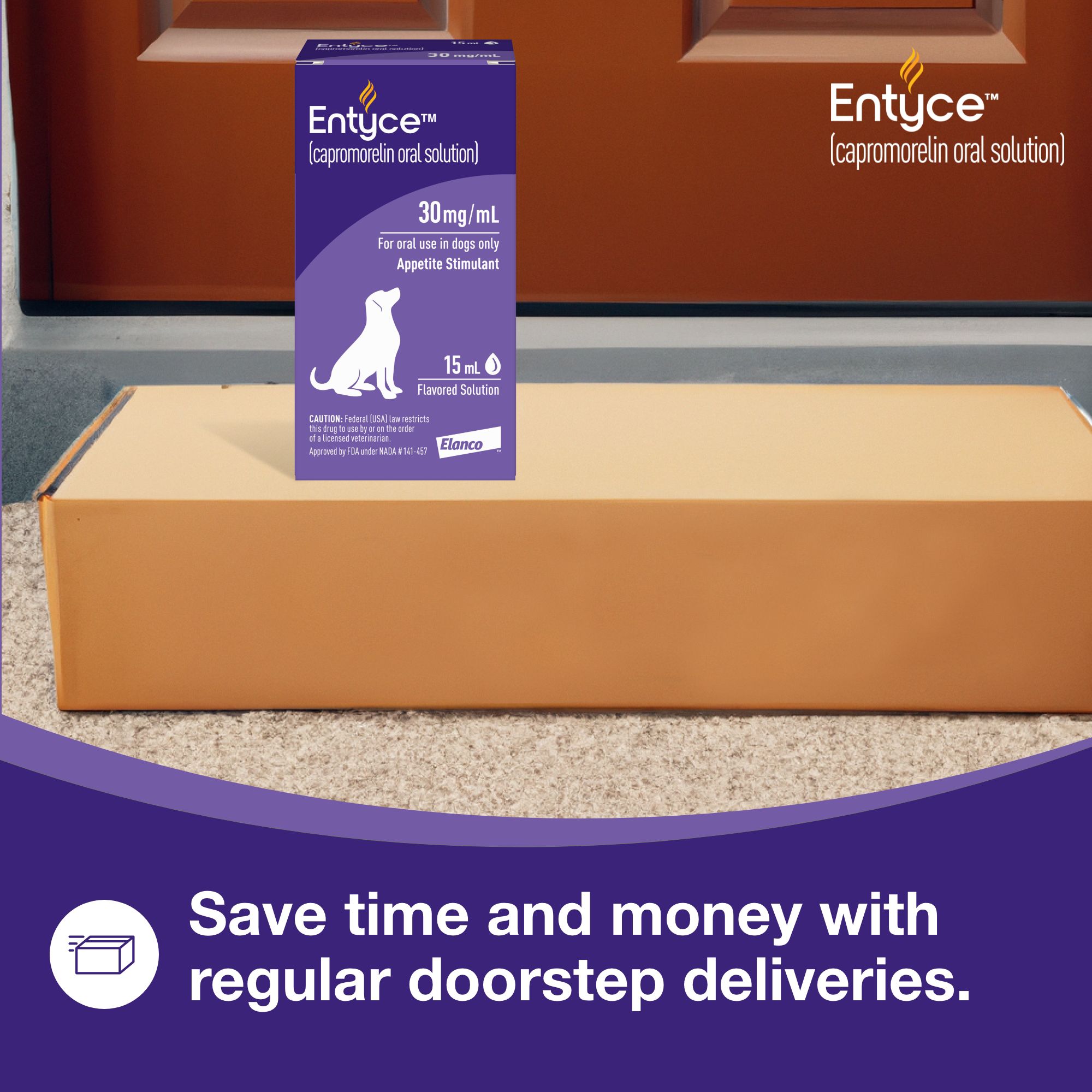 Entyce Appetite Stimulant Oral Solution for Dogs - 30 mg/ml - 10