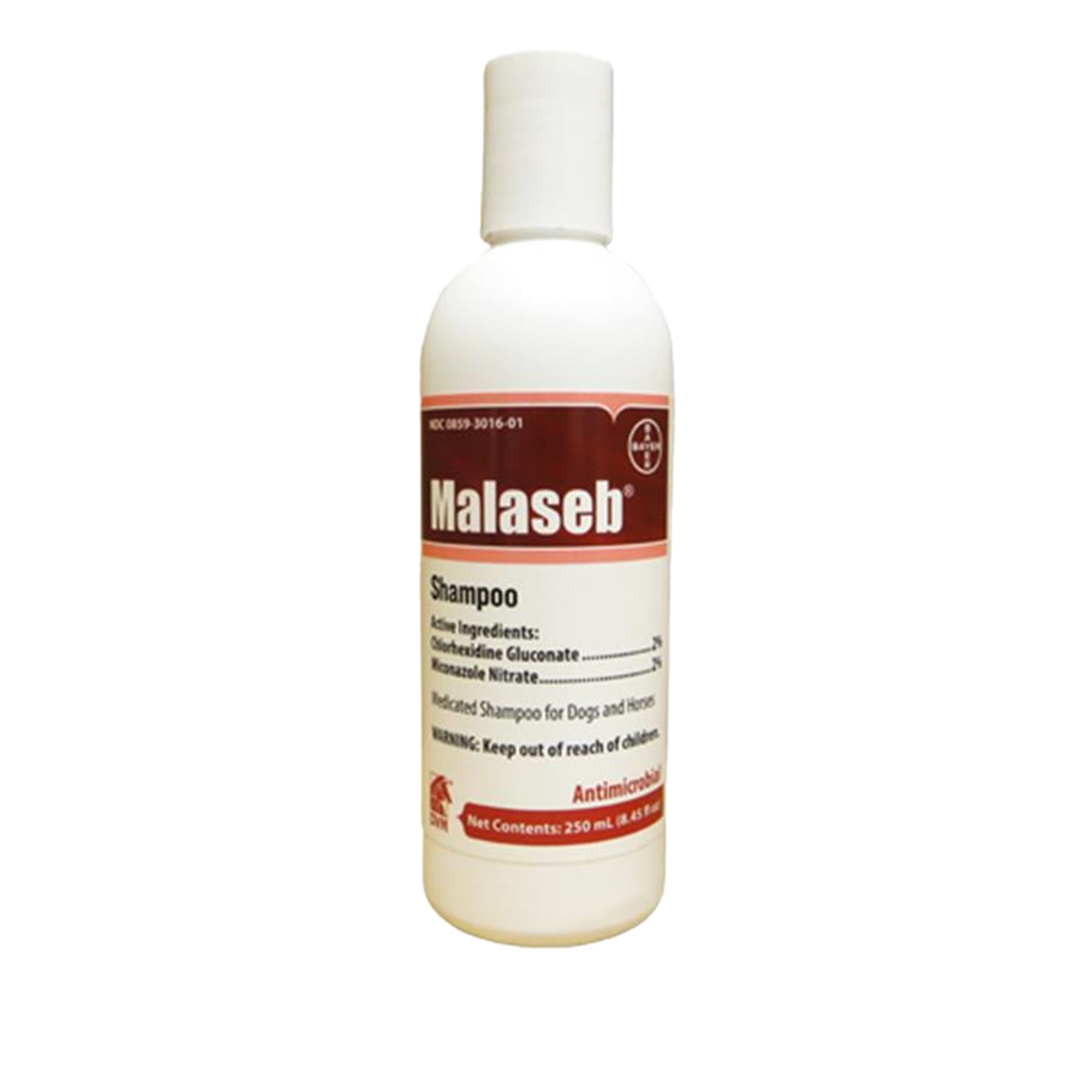 Malaseb shampoo clearance for guinea pigs