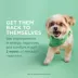 Rimadyl (carprofen) Caplets for Dogs - 25 mg, 75 mg, 100 mg - 30, 60, or 180 Caplets image thumbnail 4