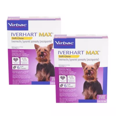 Product Iverhart Max Soft Chews 6.0-12 lbs Purple - 6 or 12 Month Supply