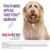 Bravecto Topical for Dogs, 9.9-22 lbs (Orange Box), 1 Dose, 12-Week Flea & Tick Protection image thumbnail 4